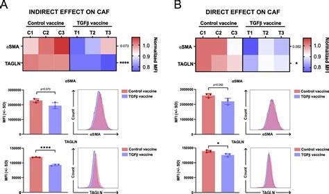 Tgfβ Specific T Cells Induced By A Tgfβ Derived Immune Modulatory