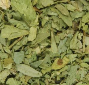 Dried Sidr Leaves 250g - Herbal Cure