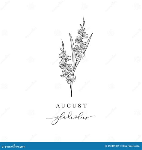 Gladiolus August Hand Drawn Birth Flowers Vector Graphics Stock