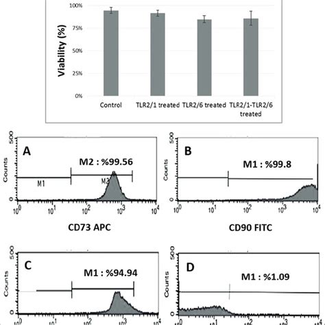 Cell Viability Rates And Flow Cytometric Stem Cell Characterization Of