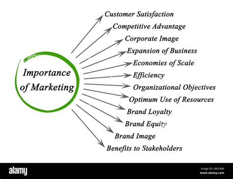 Importance Of Marketing Management