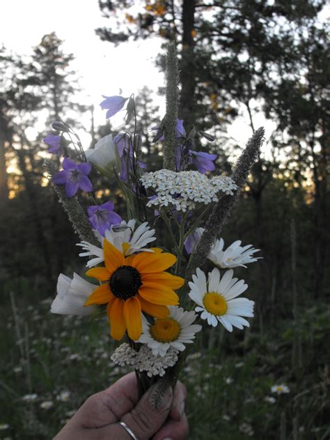 My wild flower bouquet..... | Wildflower bouquet, Wild flowers, Wedding flowers