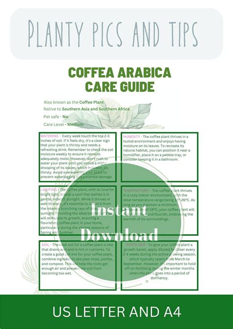 Coffee Plant Care Guide Plant Templates Houseplant Care Guide Indoor