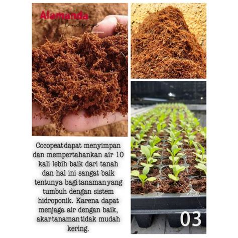 Jual Cocopeat Media Tanam Unggulan Cocopeat Kg Sabut Kelapa Halus