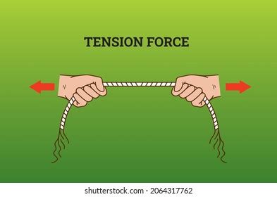 Tension Force Royalty-Free Images, Stock Photos & Pictures | Shutterstock