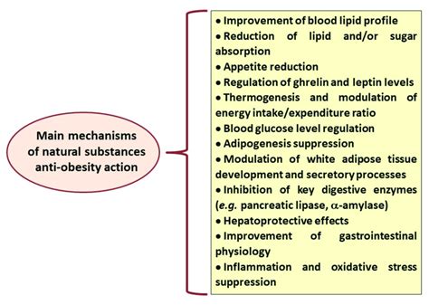 Main Mechanisms Of Anti Obesity Action Recognised For Different