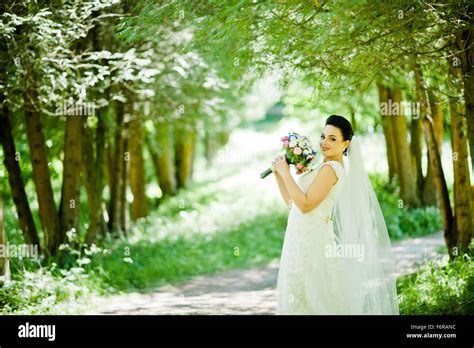 Gorgeus Brunette Bride Outdoors Stock Photo Alamy