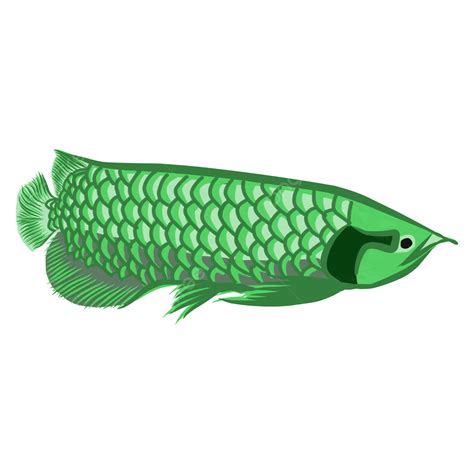 Logotipo De Pez Arowana Verde Vector Png Logotipo Verde Arowana Png