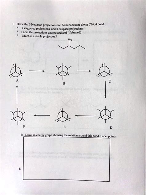 SOLVED Draw Athe Neuman Projcctions For 2 Aminohexane Along C3 C4 Bond