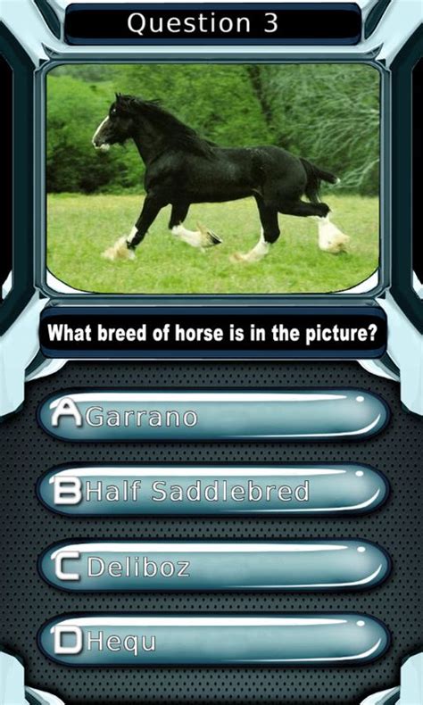 Horse Pony Breeds Quiz for Kids Android App - Free APK by Tubi Games