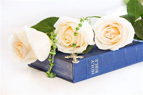 Best Bible And The Rose Stock Photos Pictures And Royalty Free Images