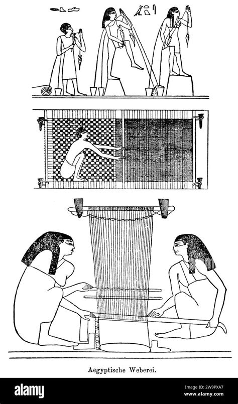 Egyptian Weaving Egypt Weavers Craft Woman Weaving Spinning