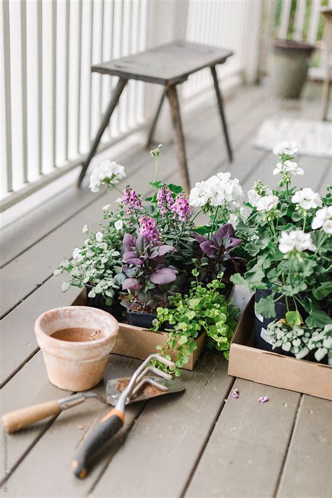 Gardening Tools And Plants On A Porch By Stocksy Contributor Ali