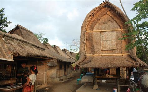 Desa Sade Lombok Tempat Belajar Dan Melihat Tradisi Asli Sasak