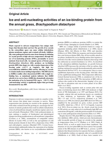 Pdf Ice And Anti Nucleating Activities Of An Ice Binding Protein From The Annual Grass