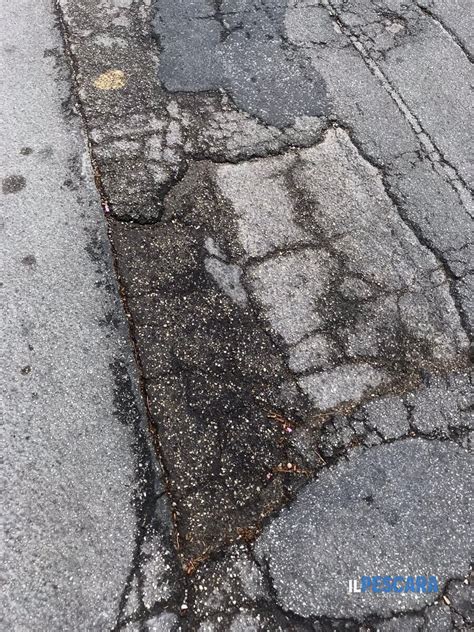 Degrado In Strada Della Bonifica Recinzione Divelta Due Anni Dopo L