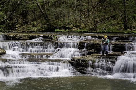 camp creek state park  forest west virginia state parks west