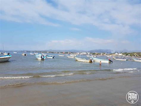 Rincón de Guayabitos Riviera Nayarit Pata de Perro