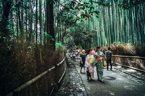 Bamboo Trees Bridge City Daylight Environment Guidance Japan