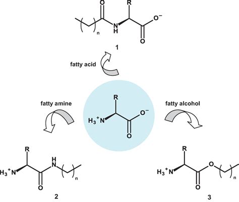 Amino Acid Based Surfactants For Biomedical Applications Intechopen