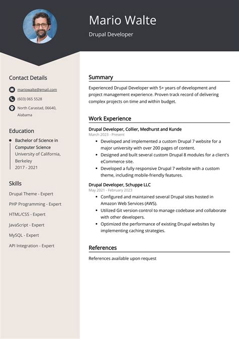 Drupal Developer Cv Example For Skills Templates