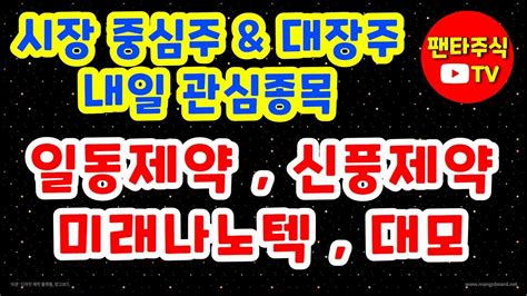 주식 대장주and 내일 관심종목일동제약신풍제약대모이엔플러스대성창투한국비엔씨이수화학기가레인일동홀딩스천보피씨디렉트