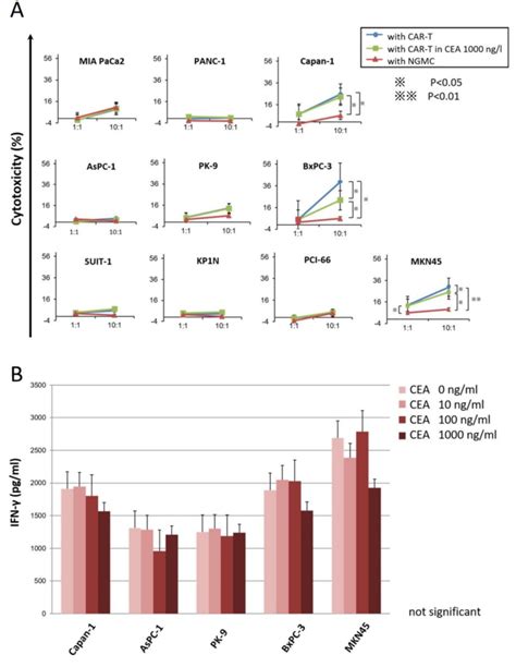 In Vitro Functional Assays Cytotoxicity Assay A Cytotoxicity Assay