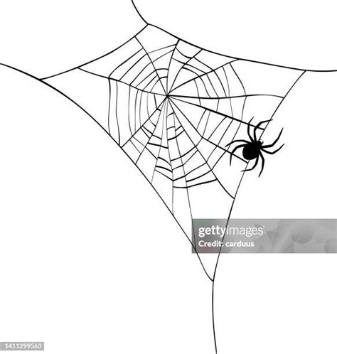 2,158 Spider Silhouette Stock Photos, High-Res Pictures, and Images ...