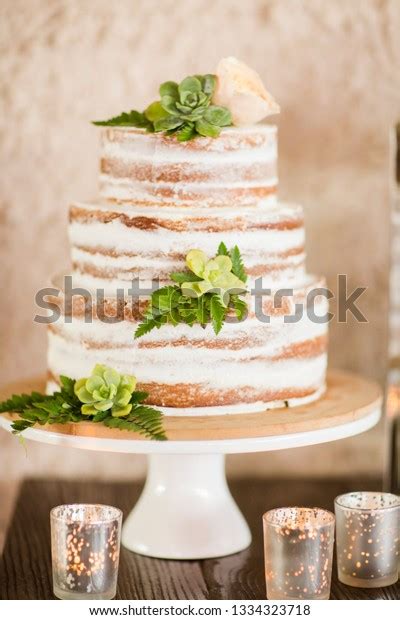Naked Three Tier Cake Fern Succulent Stock Photo Shutterstock
