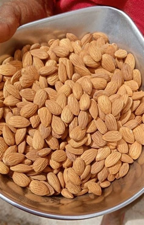 Almond Nuts At Rs 435 Kg Almond Nuts In New Delhi ID 2851651315291