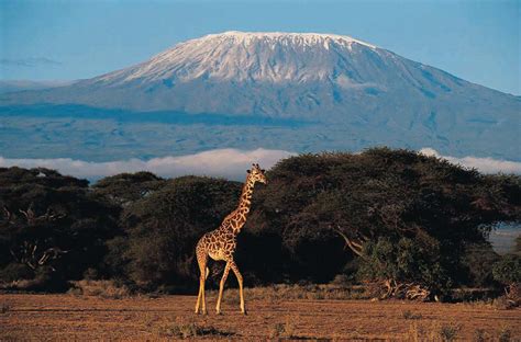 Mountain Pictures: Mountains Kilimanjaro