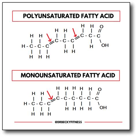 Copy-of-SATURATED-FATTY-ACID - Dr Becky Fitness