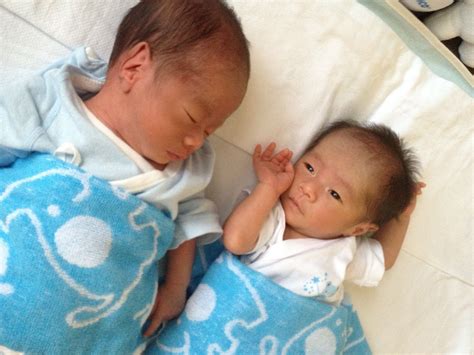 twins twin boys baby