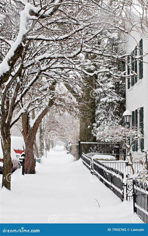 Snowy Sidewalk Royalty Free Stock Photo Image 7955765