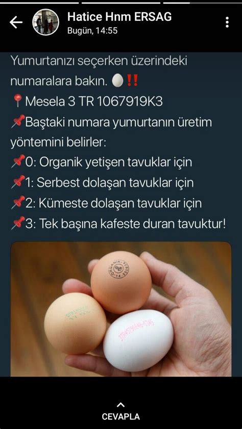 buket işcan adlı kullanıcının faydalı bilgiler panosundaki Pin