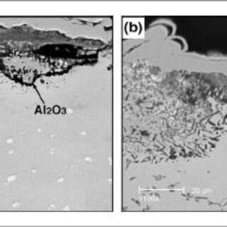 Cross Sectional Sem Image Of The Comodified Coating Of The Nial