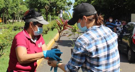 Direx Realiza Jornada De Limpieza Y Reforestaci N En El Recinto Rub N