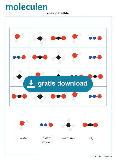 Werkblad Gatentekst Koe Spijsvertering Lookbookeducation Nl