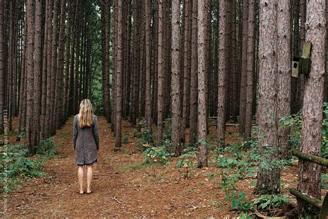 Blonde Woman Standing On A Path In A Pine Forest By Gabriel Gabi