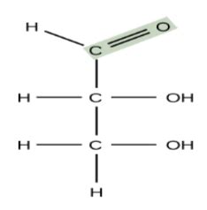 Carbohydrates Saccharides Sugars Flashcards Quizlet