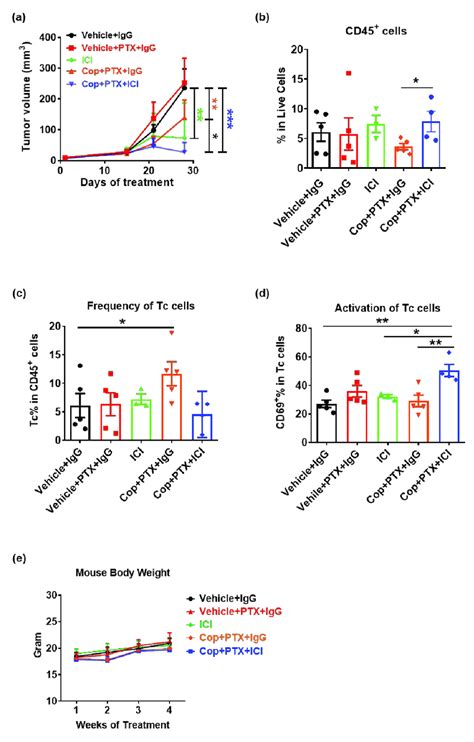 Pan Pi3k Inhibitor Copanlisib Plus Immune Therapy Produced Partial Download Scientific