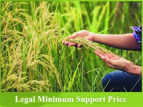 Govt Hikes Paddy MSP By Rs 72 Quintal To Rs 1 940 The Hitavada