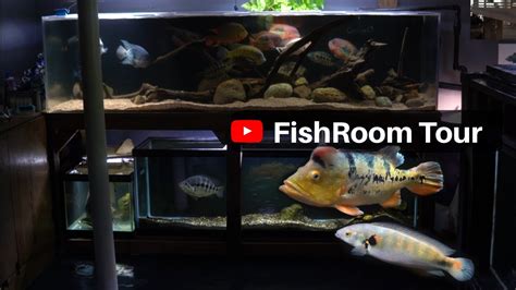 Full Fish Room Tour 9 Aquariums 20 To 900 Gallons YouTube