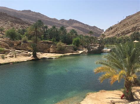 Explore a Wadi Shab or Wadi Bani Khalid Tour in Oman