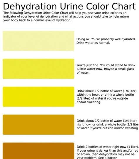 The Meaning Of Urine Color A Guide To Understanding Cloudy Urine And