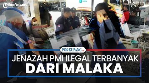 Jenazah PMI Non Prosedural Terbanyak Dari Malaka Rincian Jenazah PMI