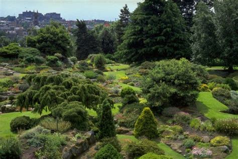 Stunning Views And Exotic Plants At Edinburghs Royal Botanic Garden