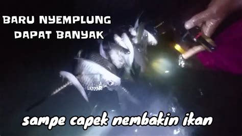 NEMBAK IKAN SAMPAI KEWALAHAN SAKING BANYAKNYA IKAN YouTube