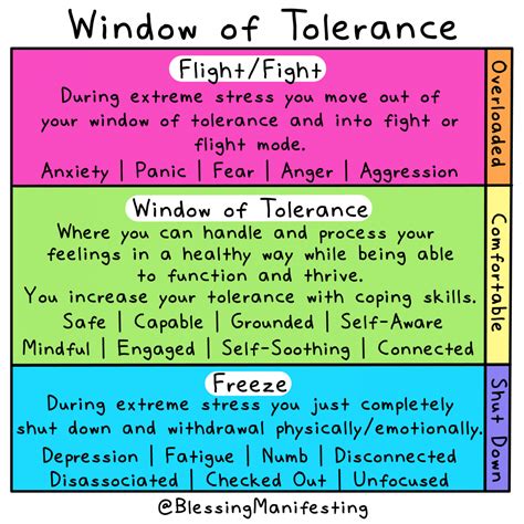 The Window Of Tolerance Self Love Rainbow