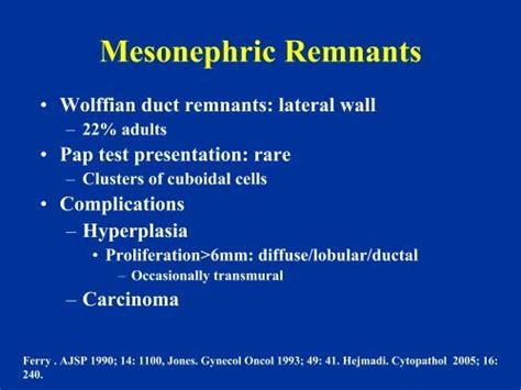 Mesonephric Remnants